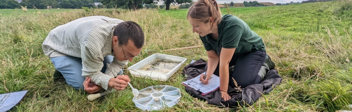 Upper Hyndburn RiverBlitz: Riverfly Surveys