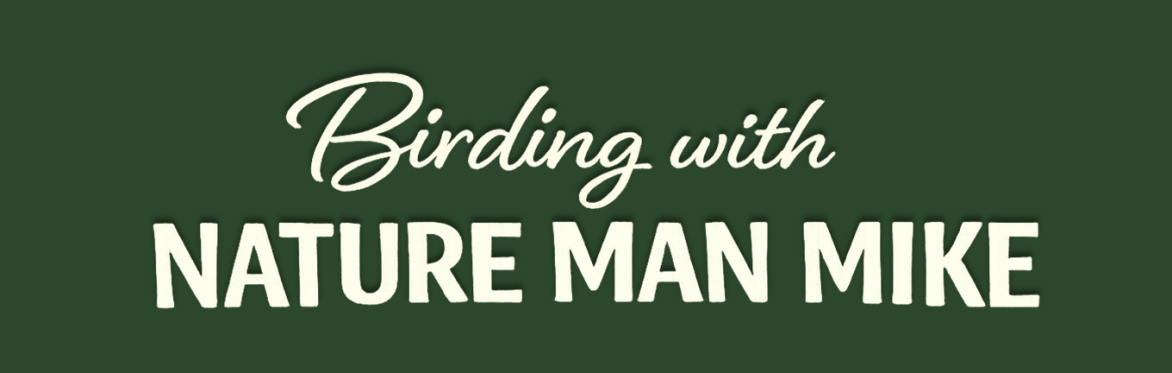 Birding with Nature Man Mike at Rumney Marsh - Aug 30