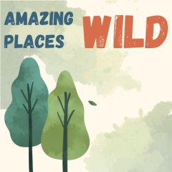 🌍 Summer family fun: Wild - illustration with Jack for ages 7 - 14