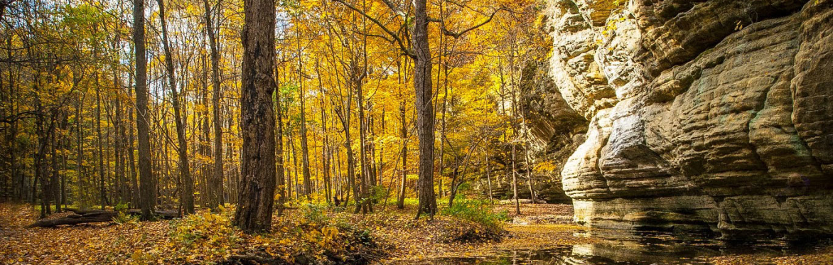 Fall Drive Starved Rock