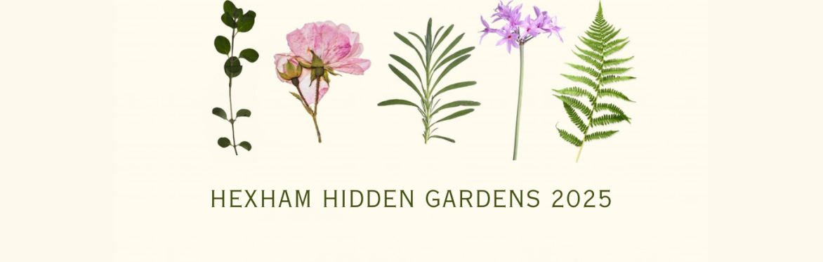 Dark green text saying Hexham Hidden Gardens 2025 on a cream background with photographic flowers framing the text