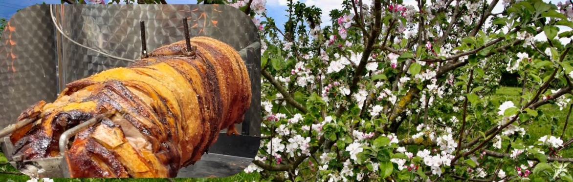 Blossom walks and cider tasting at Dunham Apples.