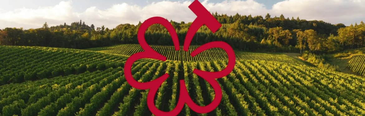 Michelin + Burgundy: An After Hours Masterclass
