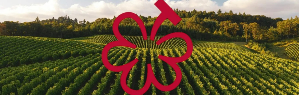 Three, Two, One: A Blind Burgundy Dinner