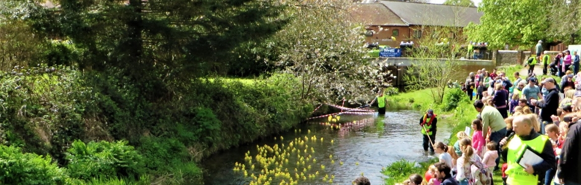 The Great Farnham Duck Race