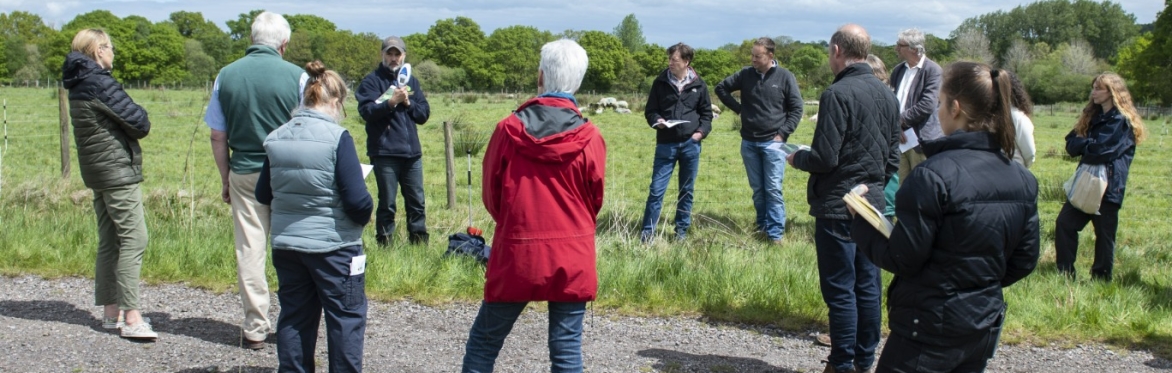 Research Insight Event - Engaging farmers in agrifood systems research