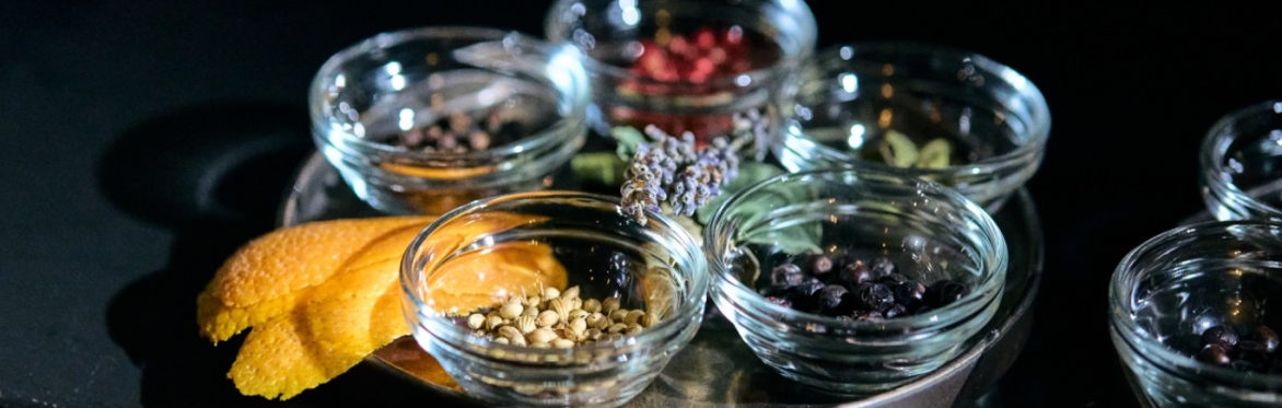Gin Tasting (inkl. Fingerfood) - Tour de l’Europe