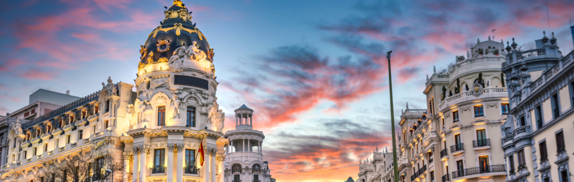 Customer Success Network Madrid