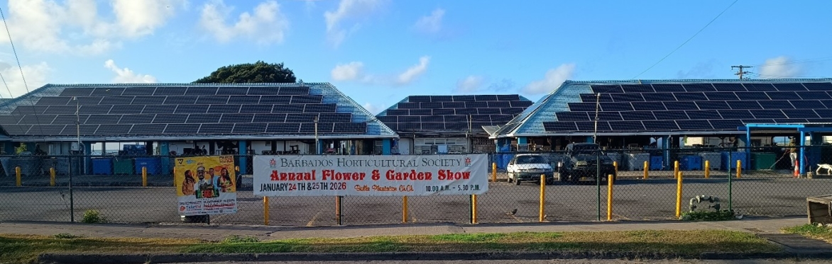 Energy Cafe: Decentralizing a SIDS' grid
