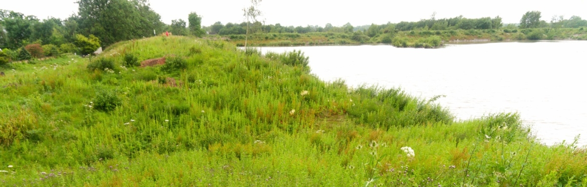 Grimsargh Wetlands Invertebrate Recording Day