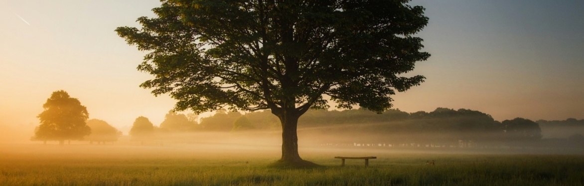 Book Group – The Wisdom Years by Margaret Silf