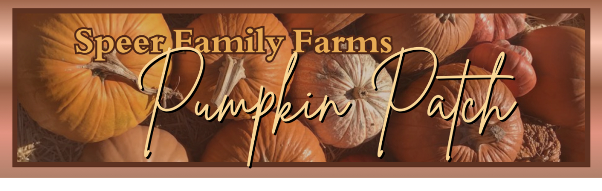 Speer Family Farms Pumpkin Patch 2025