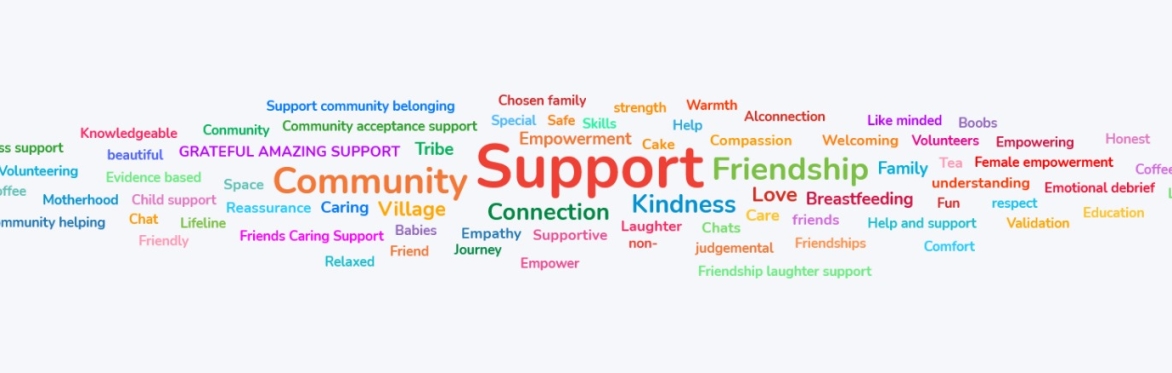A header image 'Volunteer conference 2025 - image shows the words volunteers associate with Cuidiú'