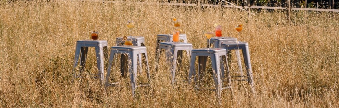 A New Vintage: Summer Dinner with Ember Mallorca