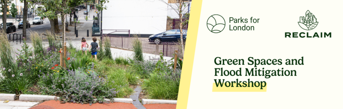 Green Spaces & Flood Mitigation
