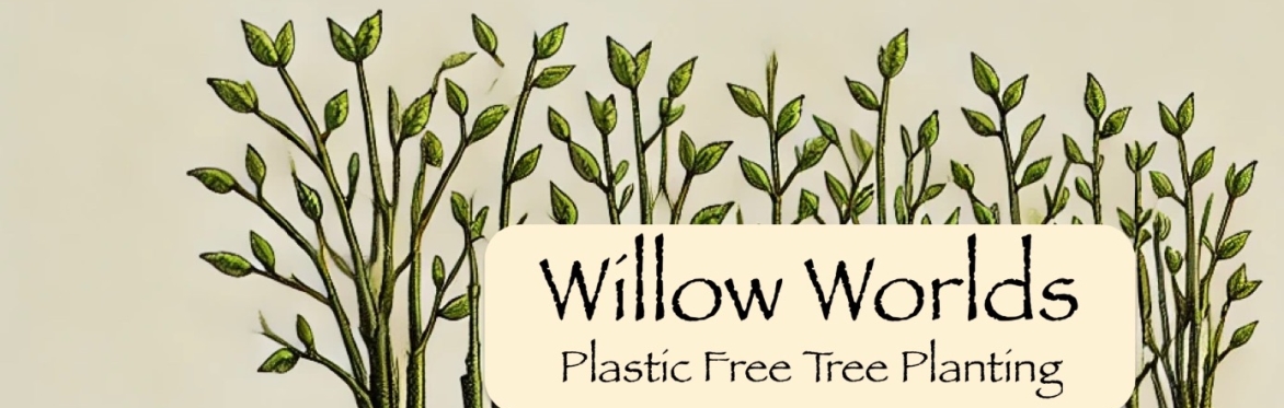 Willow Worlds