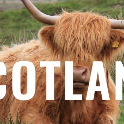 Kyria Scotland Conference 2026