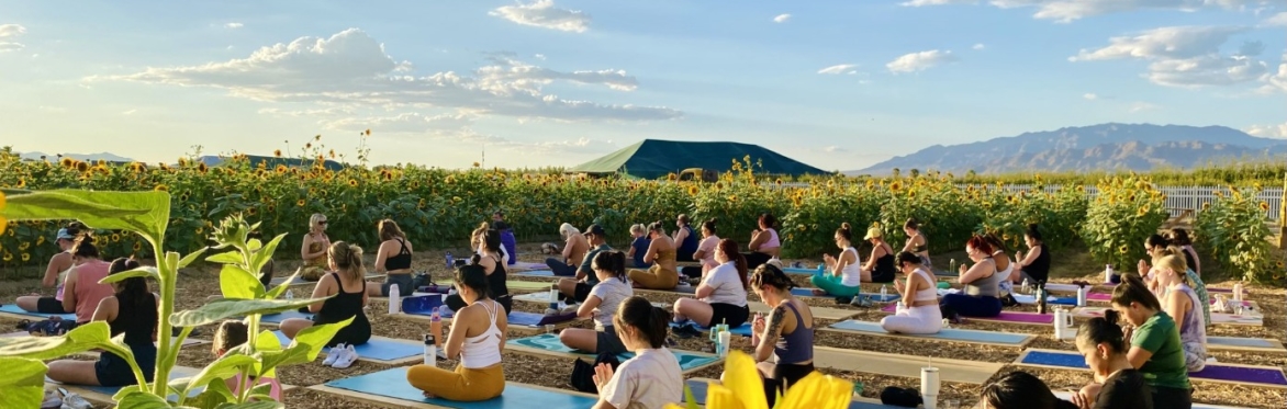 Sunflower Yoga August 2026