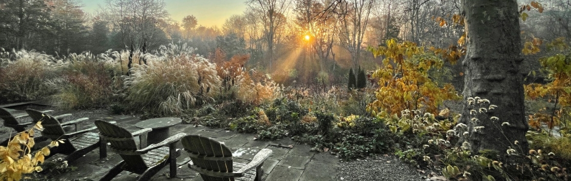 A New Way of Thinking about Gardens, Nature and Ourselves, A Lecture by James Golden