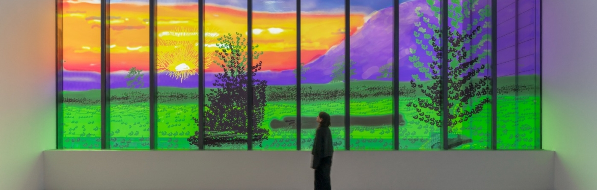 Martin Gayford on David Hockney: A Life in Pictures