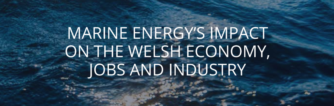 WEBINAR: Marine Energy Wales State of the Sector Report