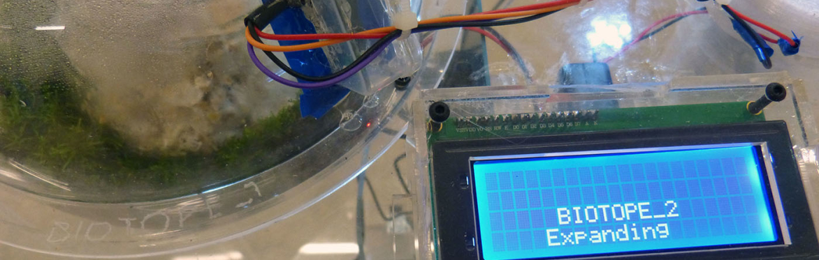 Neurobiotics, Health and Plant life in Art Practice
