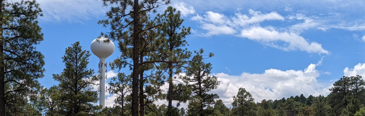 View of a water tank in the distance under a blue, cloudy sky with pine trees in the forefront