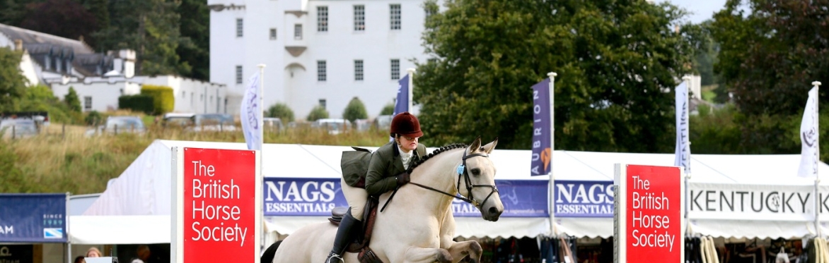 Sign Up – Netherton Equestrian/BHS Scotland Riding Club Style Jumping ...