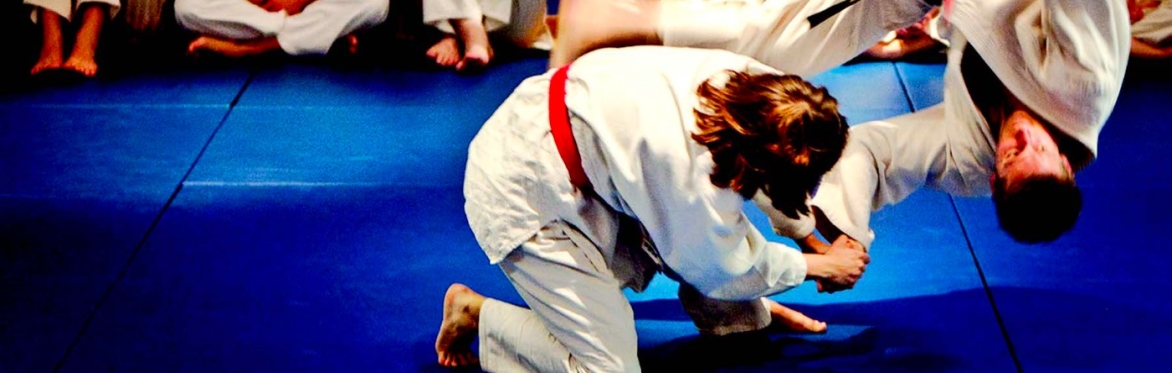 Chang's Hapkido Academy Harrow throw