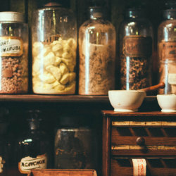 herbal medicine course