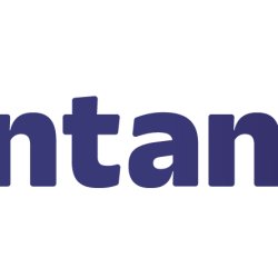 Intandem Monthly Online Peer Sessions