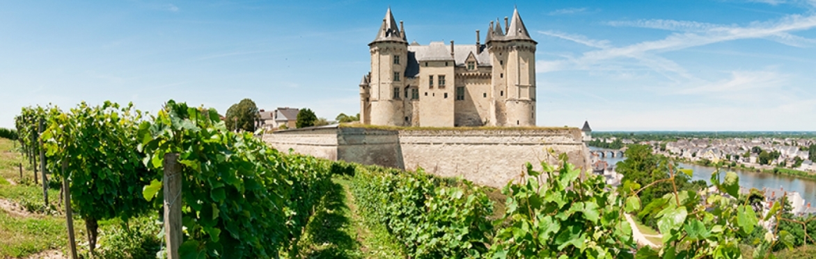 Friday Night Wine School - Classic Loire