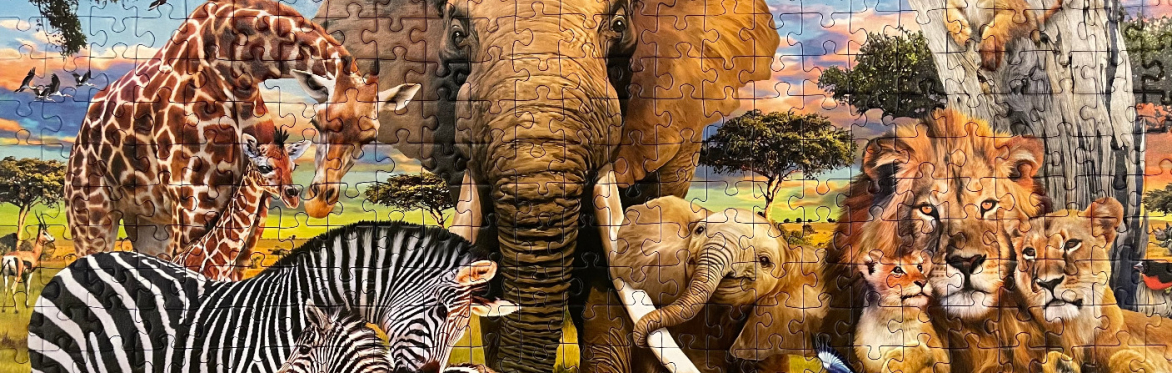 Chicago Puzzle Club - Teams Speed Puzzle Competition & Puzzle Swap - November 1, 2025