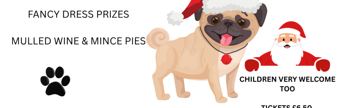 Santa Paws at The Wisteria Hotel, Oakham