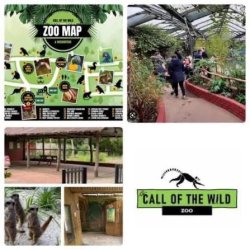 Call of wild zoo group visit