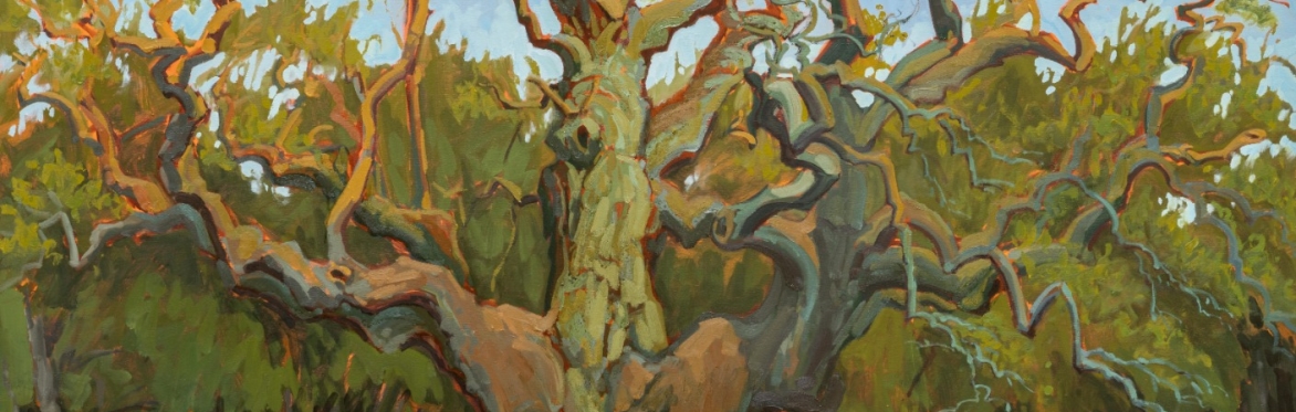 My Friend and The Forest - A Walkthrough of Sarah Cunningham: Midnight Sun with Martin Clarkson