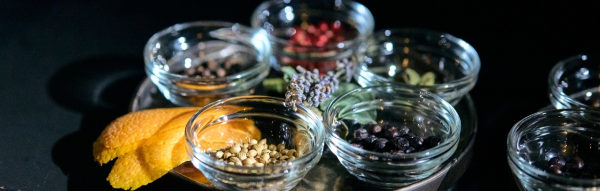 Gin Tasting (inkl. Fingerfood) - Tour de Allemagne