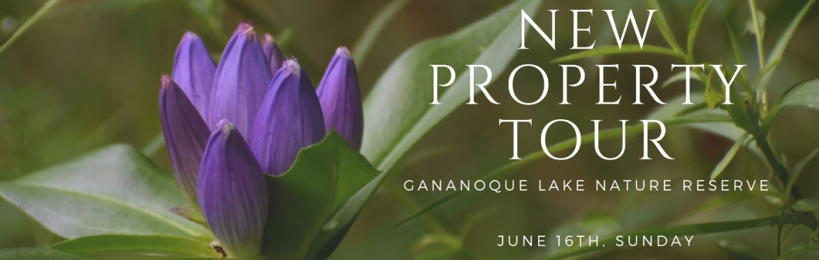 Guided Tour at Gananoque Lake Nature Reserve - Sunday, June 16th, 2024