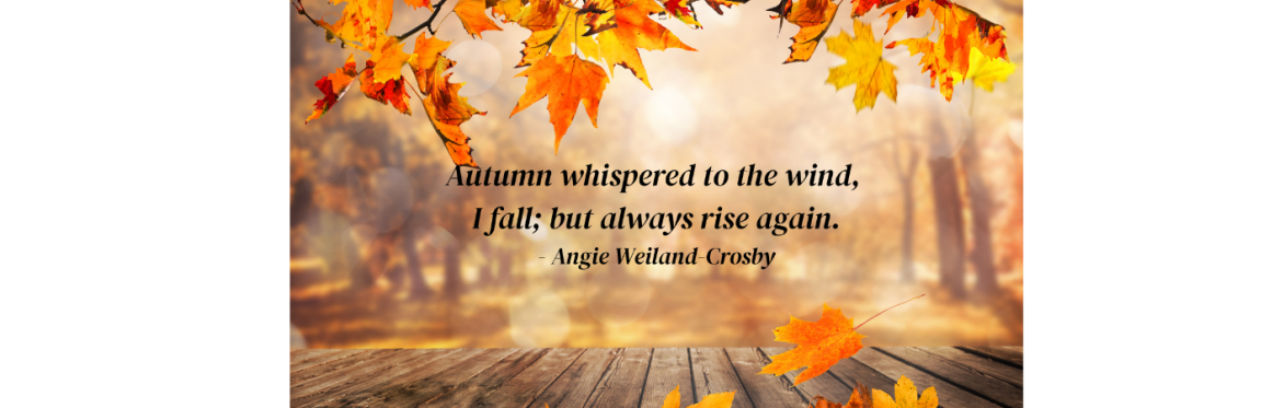 Autumn Unfolding Mindfulness & Meditation Retreat