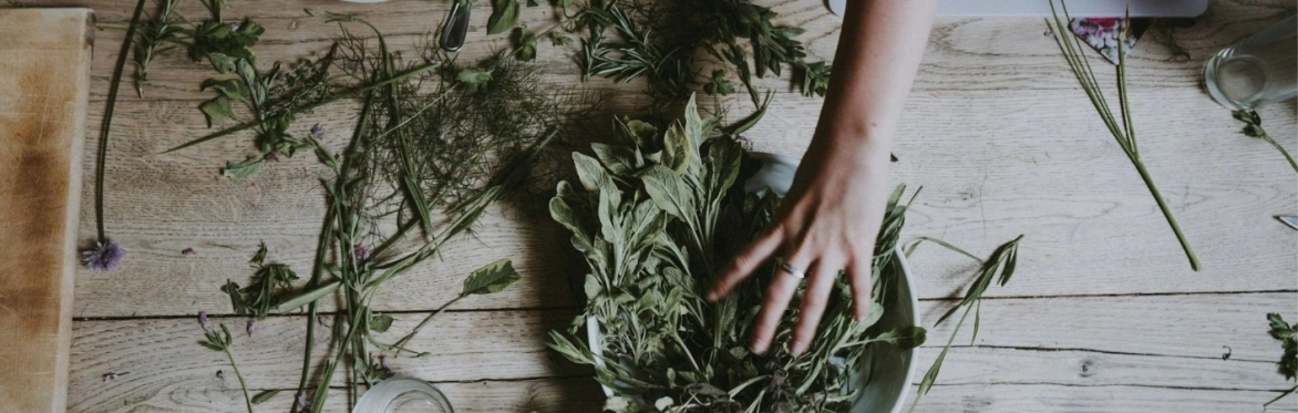 Herbalism Walk with Medicine Making