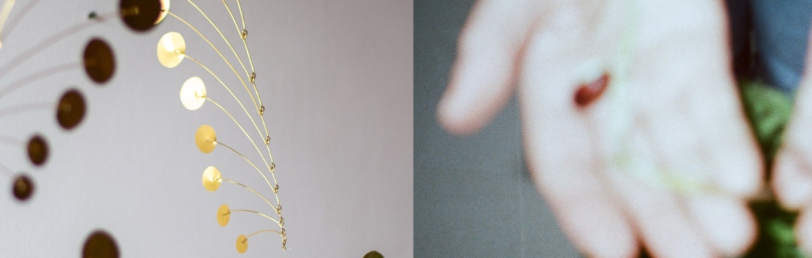 Private View: Tawfik Naas and Phineas Harper