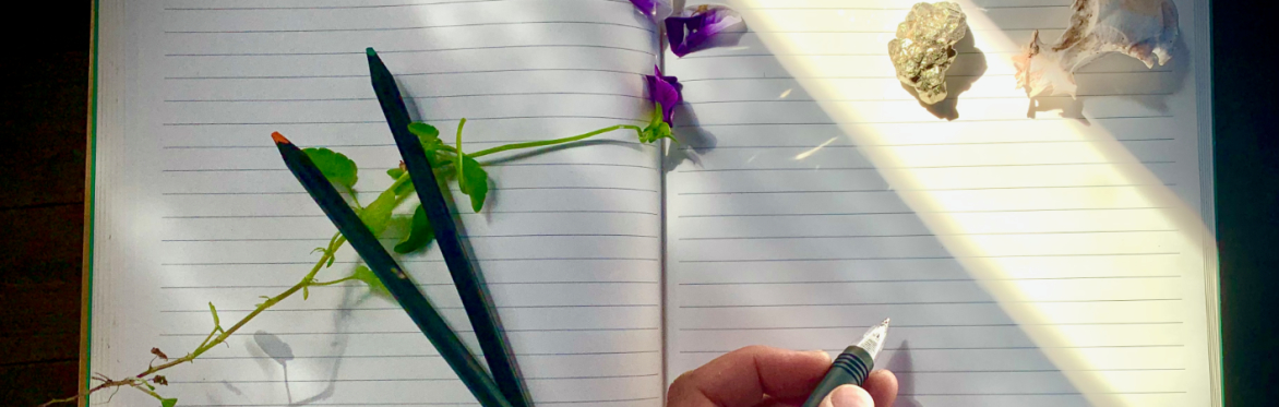Notebook with writers hand holding pen