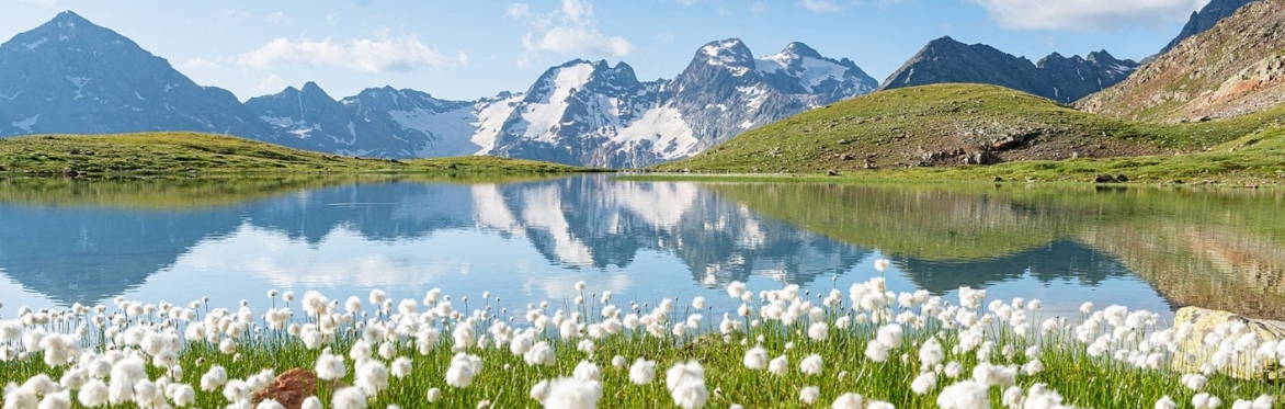 Escursione guidata: Lago di Forbesana
