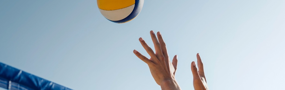 Torneo di pallavolo