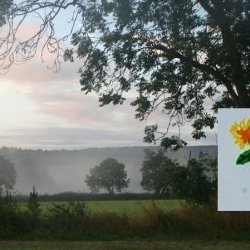 Young Friends sit around the picnic benches with a view across fields across the Culm Valley