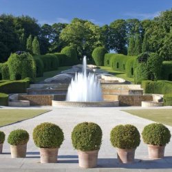 Alnwick Gardens Visit