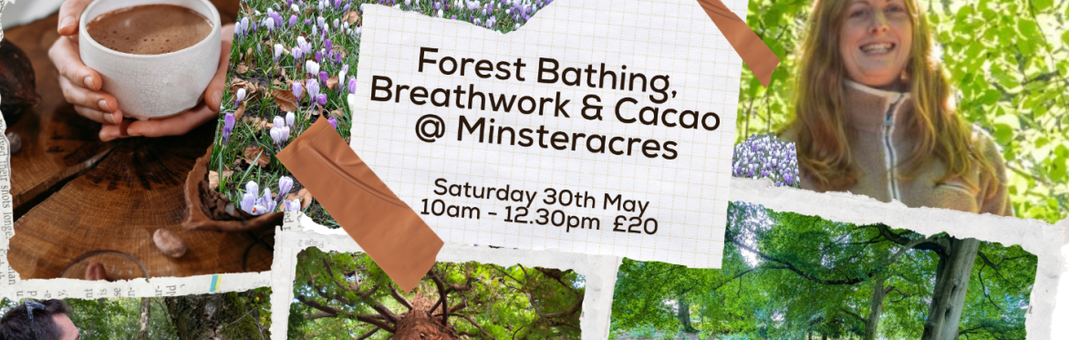 Forest Bathing Walk with Breathwork, Meditation and Cacao at Minsteracres