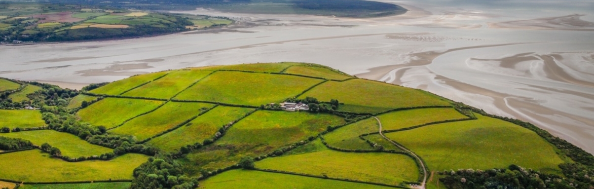 Spring Foraging walks - Field, Woodland & Coastline