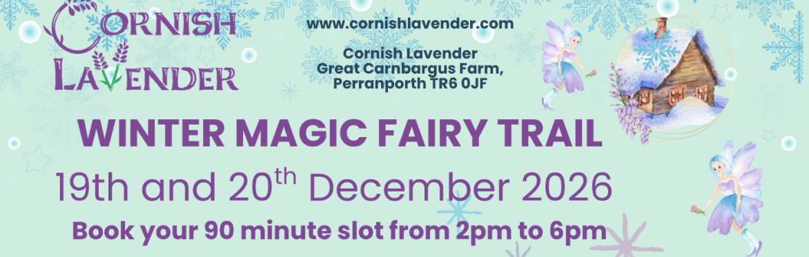 Winter Magic at Cornish Lavender