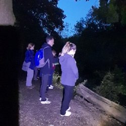 National Moth Week - bat and moth evening